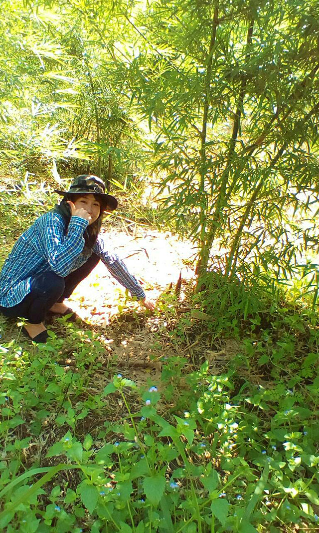 竹の子掘りの写真