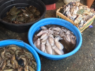 フィッシュマーケットで売られている魚介類の写真