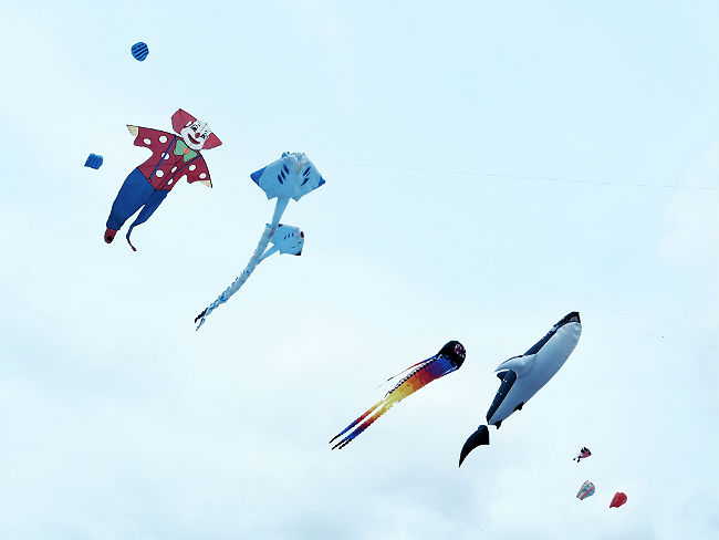 日本語パートナーズ、マレーシア ジョホール州 凧あげ大会で飛ばした凧
