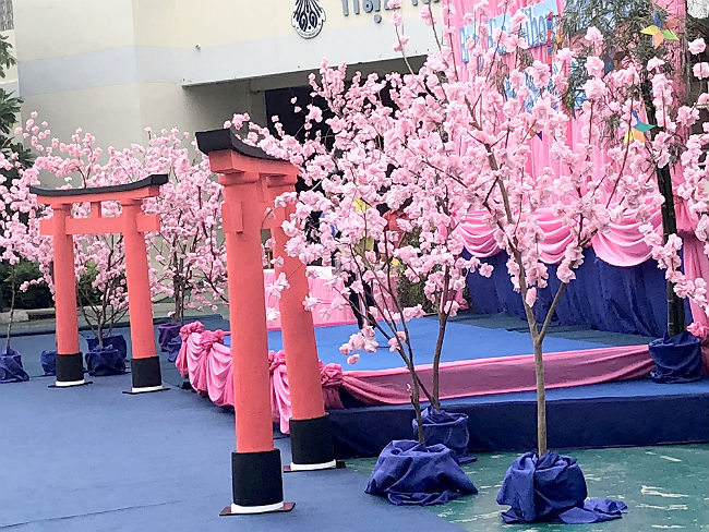 日本語パートナーズの活動の写真9 タイ チャチュンサオ ティッシュペーパーで作った桜の木の写真