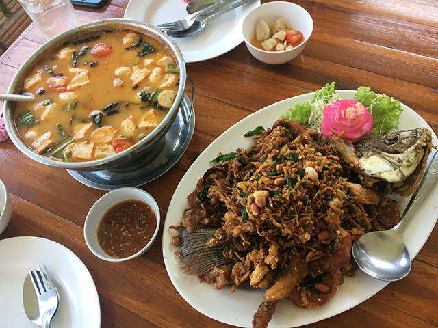タイ料理の写真