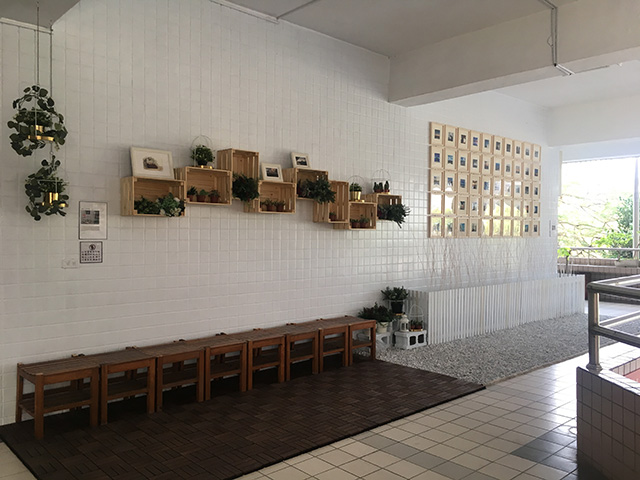 壁を利用して植物や額が飾られたスペースの写真