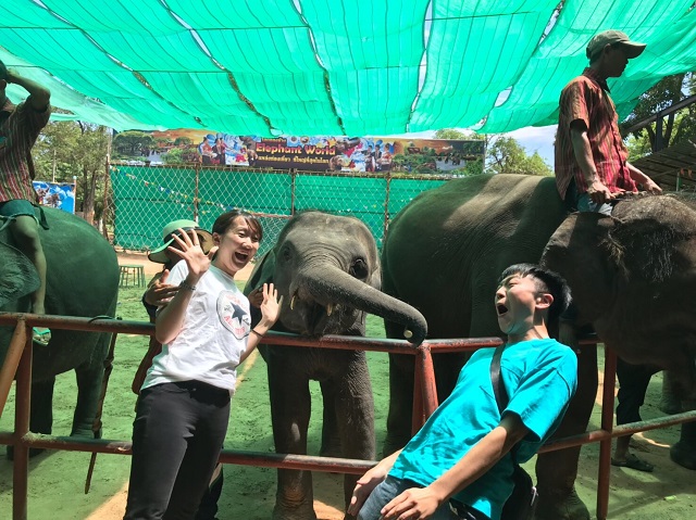 象と日本語パートナーズの写真