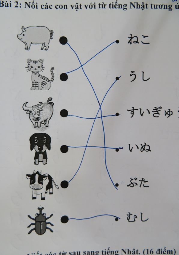 動物のイラストと日本語で名前が書かれた学習プリントの写真